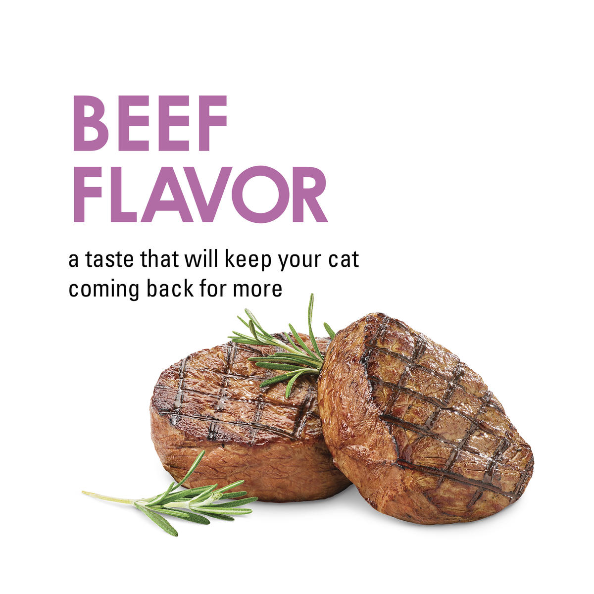 Purina Fancy Feast Savory Cravings Beef Flavor Cat Treats - 3 oz.