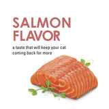 Purina Fancy Feast Savory Cravings Salmon Flavor Cat Treats - 3 oz.