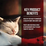 Fussie Cat Market Fresh Chicken & Turkey Recipe Dry Cat Food - 3.5 lbs.