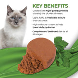 Fussie Cat Fine Dining Mousse Chicken with Pumpkin Entrée in Gravy Recipe Wet Cat Food - 2.47 oz.