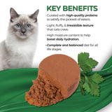 Fussie Cat Fine Dining Mousse Oceanfish with Pumpkin Entrée in Gravy Recipe Wet Cat Food - 2.47 oz.