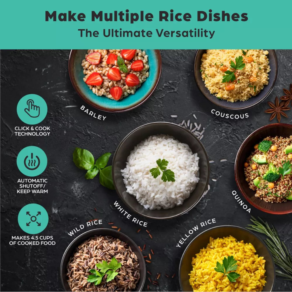 Rice Robot 4.5 Cup Rice Cooker