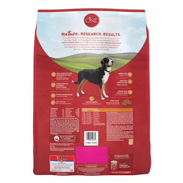 Purina ONE Chicken & Rice Formula Dry Dog Food - 16.5lbs.