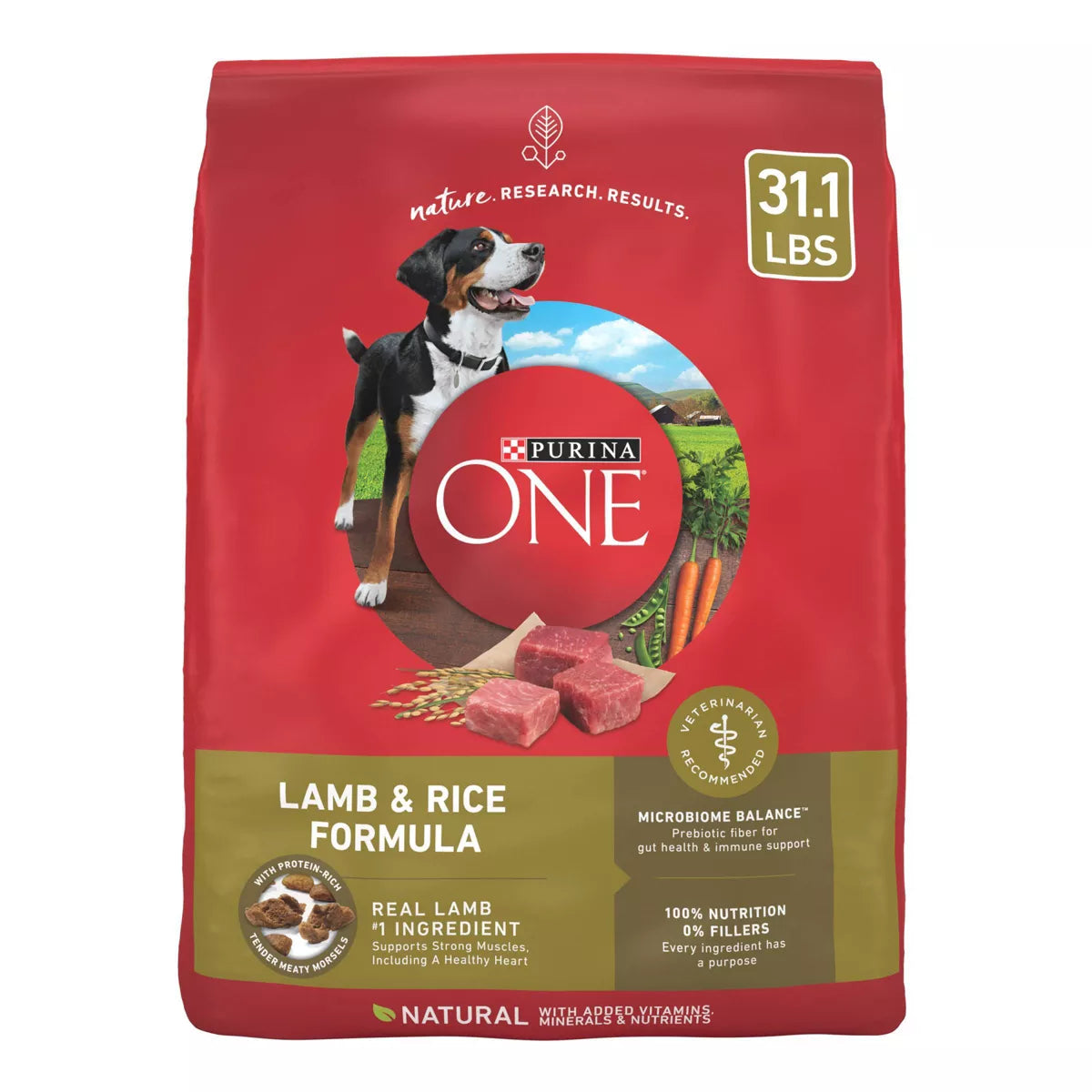 Purina ONE Lamb & Rice Formula Dry Dog Food - 31.1 lbs.