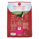 Purina ONE Lamb & Rice Formula Dry Dog Food - 16.5lbs.