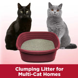 Arm & Hammer Clump & Seal Multi-Cat Litter - 28 lbs.