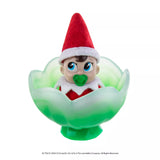 The Elf on the Shelf Santaverse Frost Pips Mini Blooms Boy Blue Eyes