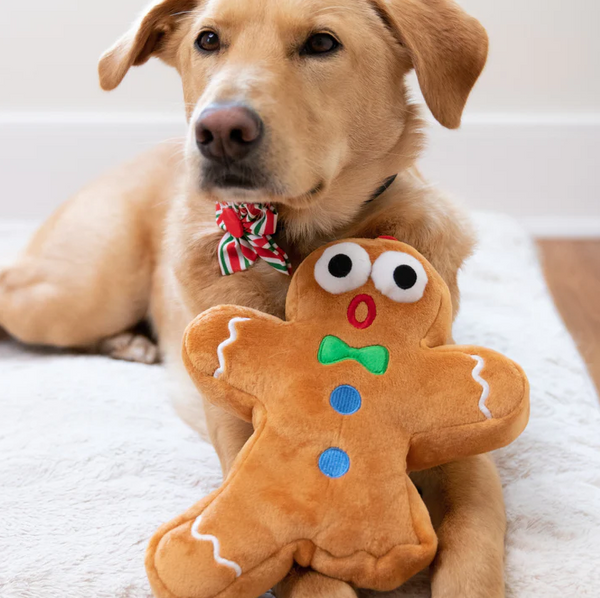 Huxley & Kent Ginger Snapped Power Plush Dog Toy - Size Large