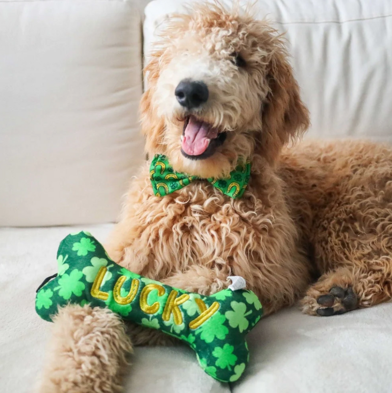 Huxley & Kent Lucky Charm Bone Power Plush Dog Toy - Size Large