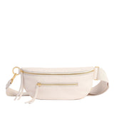 Hammitt Medium Charles Crossbody Handbag