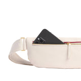 Hammitt Medium Charles Crossbody Handbag