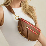 Hammitt Medium Charles Crossbody Handbag