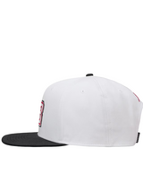 Nike Mens Jordan Pro Structured Flat Bill Hat