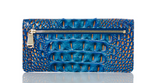 BRAHMIN Ady Wallet