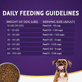Zignature Original Kangaroo Formula with Probiotics Dry Dog Food - 25 lbs.