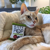 Huxley & Kent Kittybelles Kitty Pop Plush Cat Toy