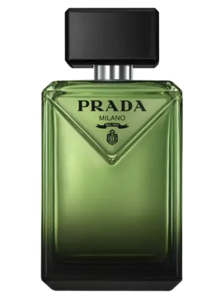 Prada Paradigme Eau de Parfum Spray - 3.4 oz.