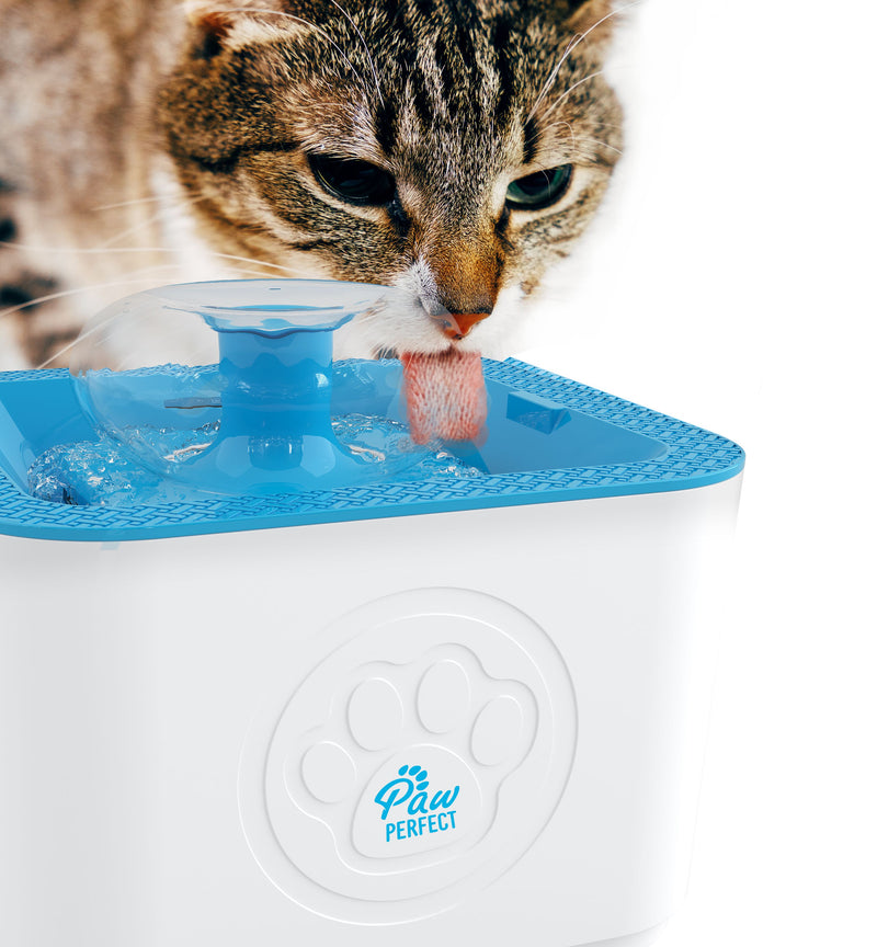 Paw Perfect Pet Water Fountain