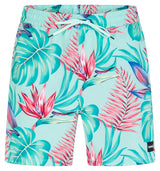 Hurley Mens 17" Cannonball Volley Boardshorts