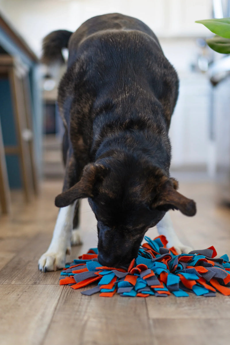 Messy Mutts Round Forage/Snuffle 15" Mat