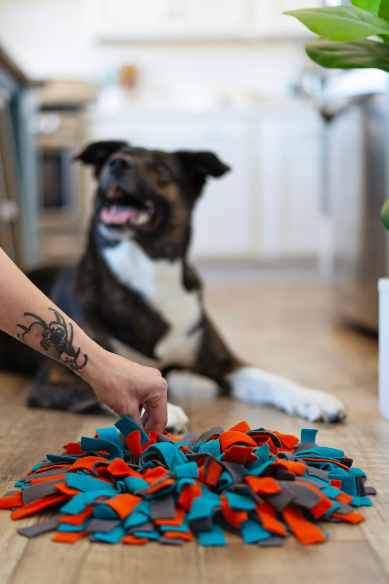 Messy Mutts Round Forage/Snuffle 15" Mat