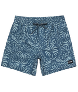 Hurley Mens Cannonball Volley 17" Boardshorts
