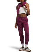 The North Face Womens Half Dome Fleece Sweatpants