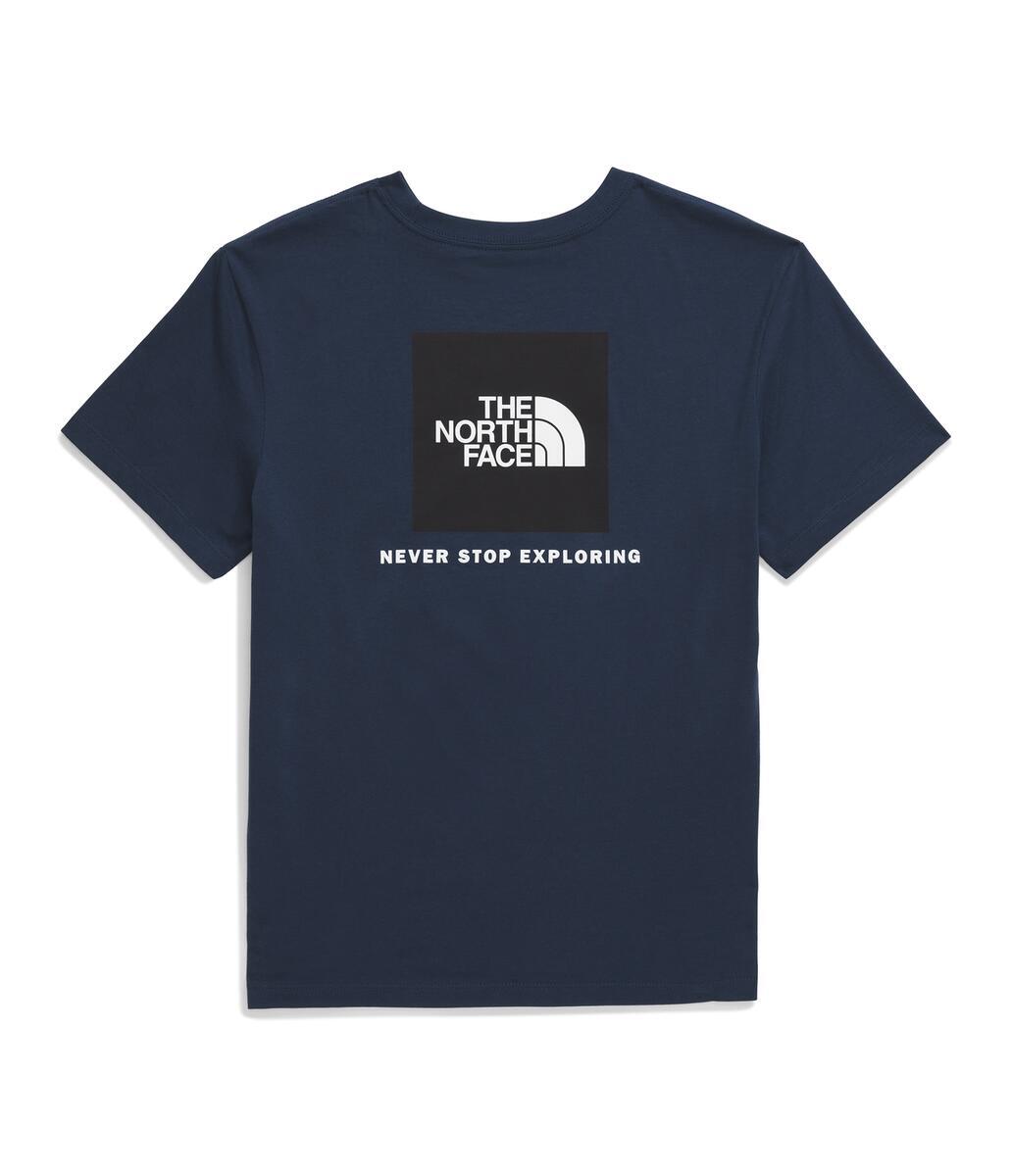 The North Face Mens Evolution Box NSE Short Sleeve T-Shirt