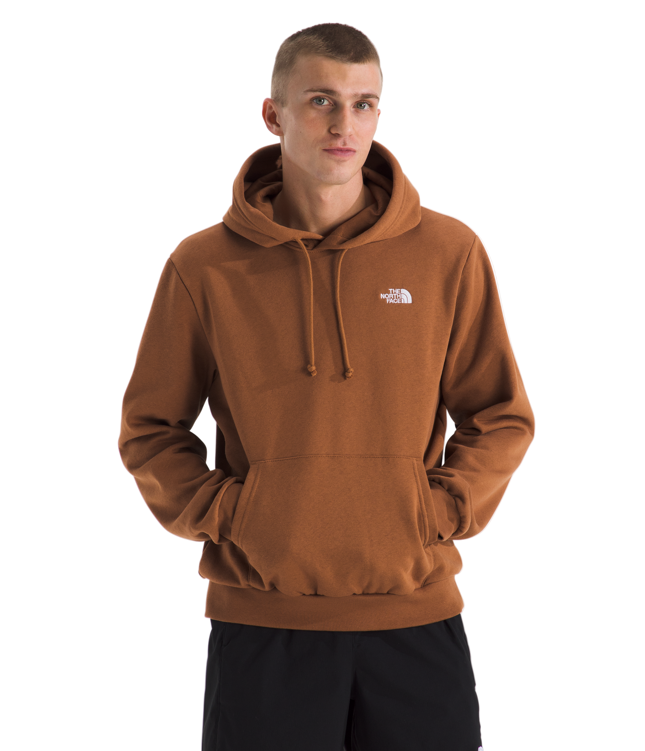 The North Face Mens Evolution Simple Dome Hoodie