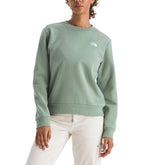The North Face Womens Evolution Simple Dome Crewneck Sweatshirt
