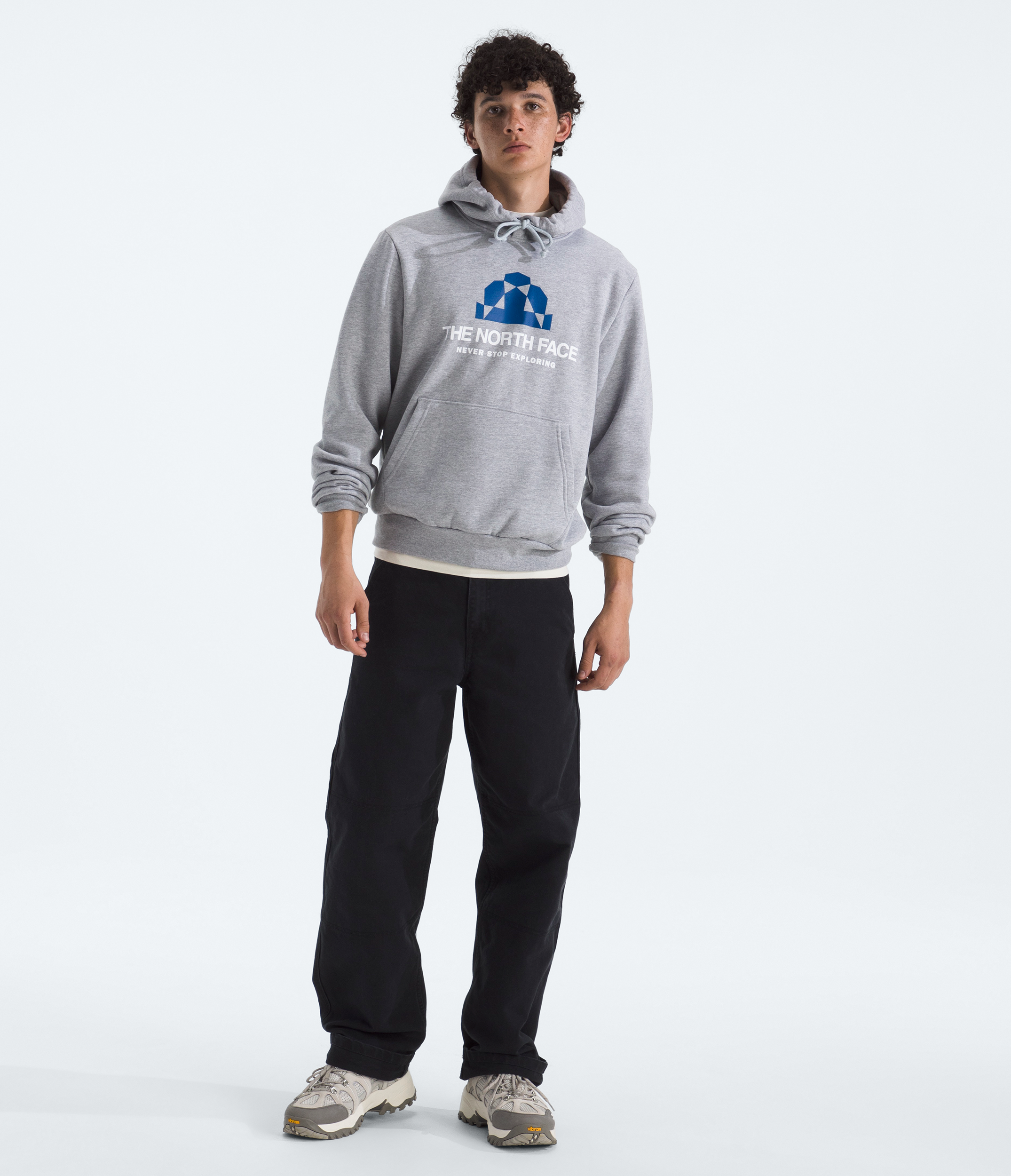 The North Face Mens Evolution BTS Hoodie