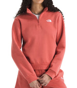 The North Face Womens Evolution Simple Dome Regular Quarter Zip Sweatshirt