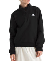 The North Face Womens Evolution Simple Dome Regular Quarter Zip Sweatshirt