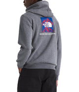The North Face Mens Explorin' The USA Hoodie Sweatshirt