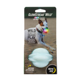 Nite Ize GlowStreak Wild LED Ball - Disc-O