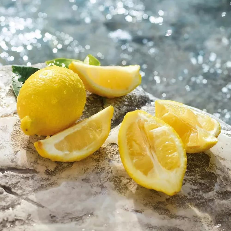 Dolce & Gabbana Light Blue Pour Homme Eau de Toilette Spray - 3.3 oz.