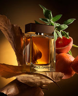 Dolce & Gabbana The One For Men Eau De Parfum Spray - 1.7 oz.