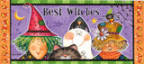 Evergreen Sassafras Fall Holiday Set of 5