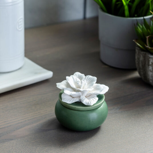 Airomé Bloom Porcelain Passive Diffuser