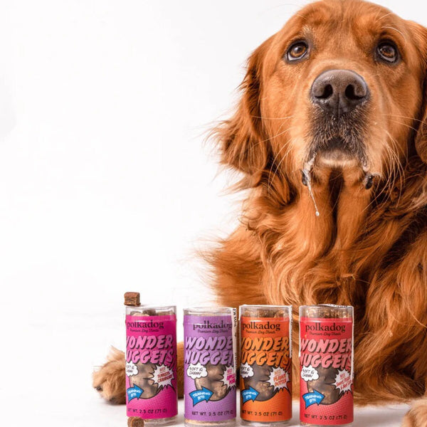 Polkadog Wonder Nuggets Pork Apple Mini Training Treats - 2.5 oz.