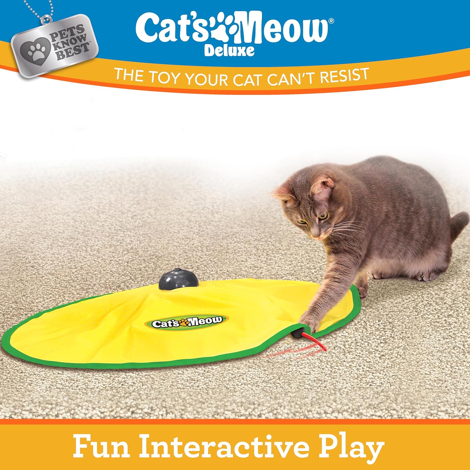 Pets Know Best Cat's Meow Interactive Cat Toy