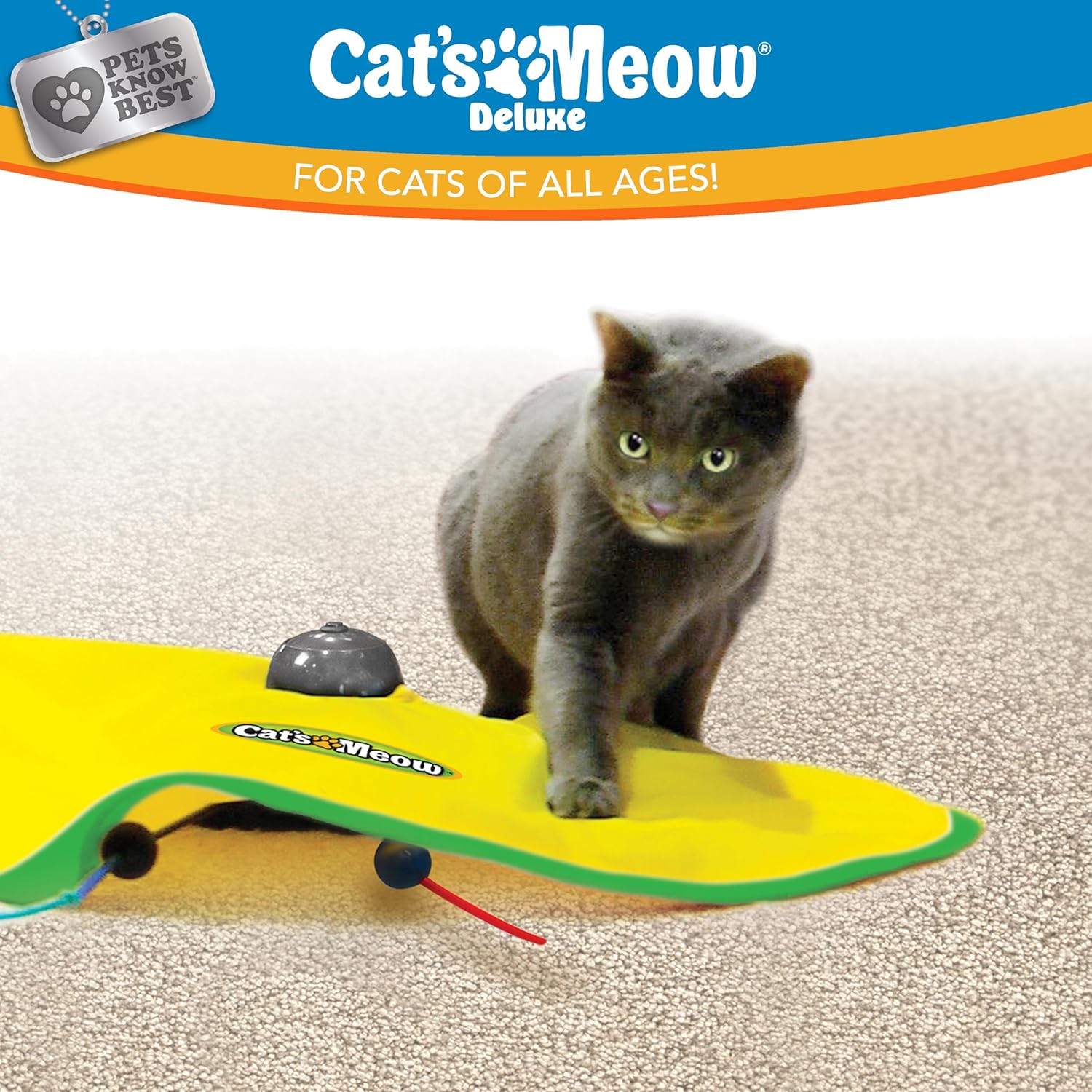 Pets Know Best Cat's Meow Interactive Cat Toy