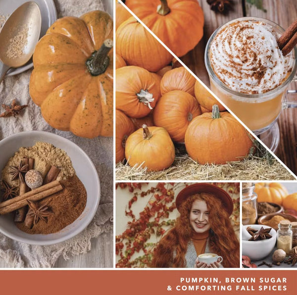 Yankee Candle Mini Candle - Spiced Pumpkin