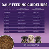 Zignature Original Puppy Formula with Probiotics Dry Dog Food - 25 lbs.