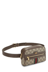Gucci Coated Canvas Ophidia Small Belt Bag