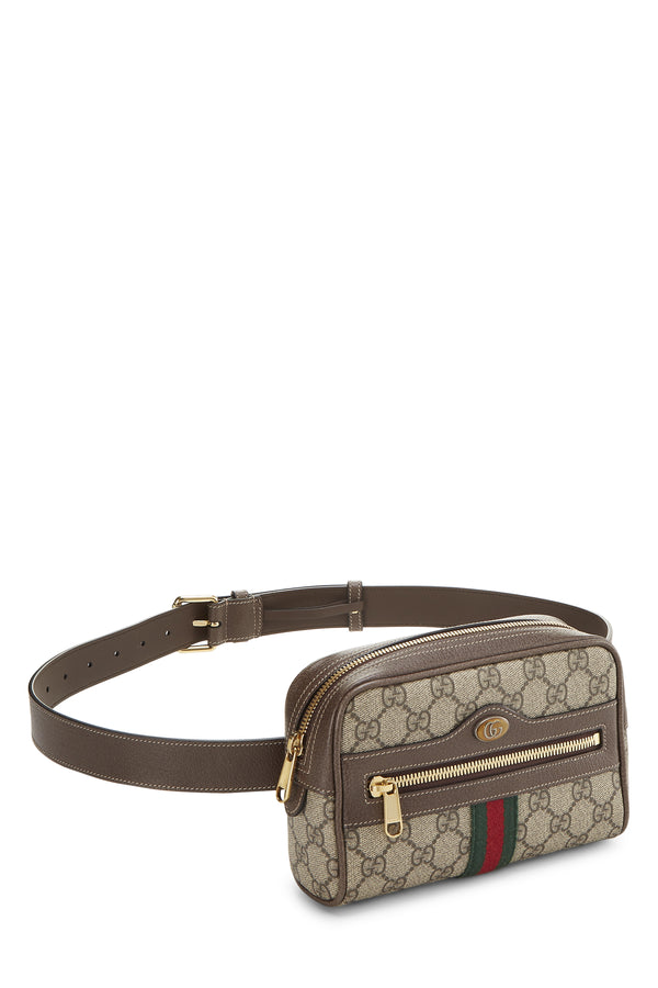 Gucci Coated Canvas Ophidia Small Belt Bag