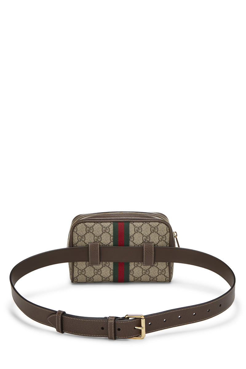 Gucci Coated Canvas Ophidia Small Belt Bag