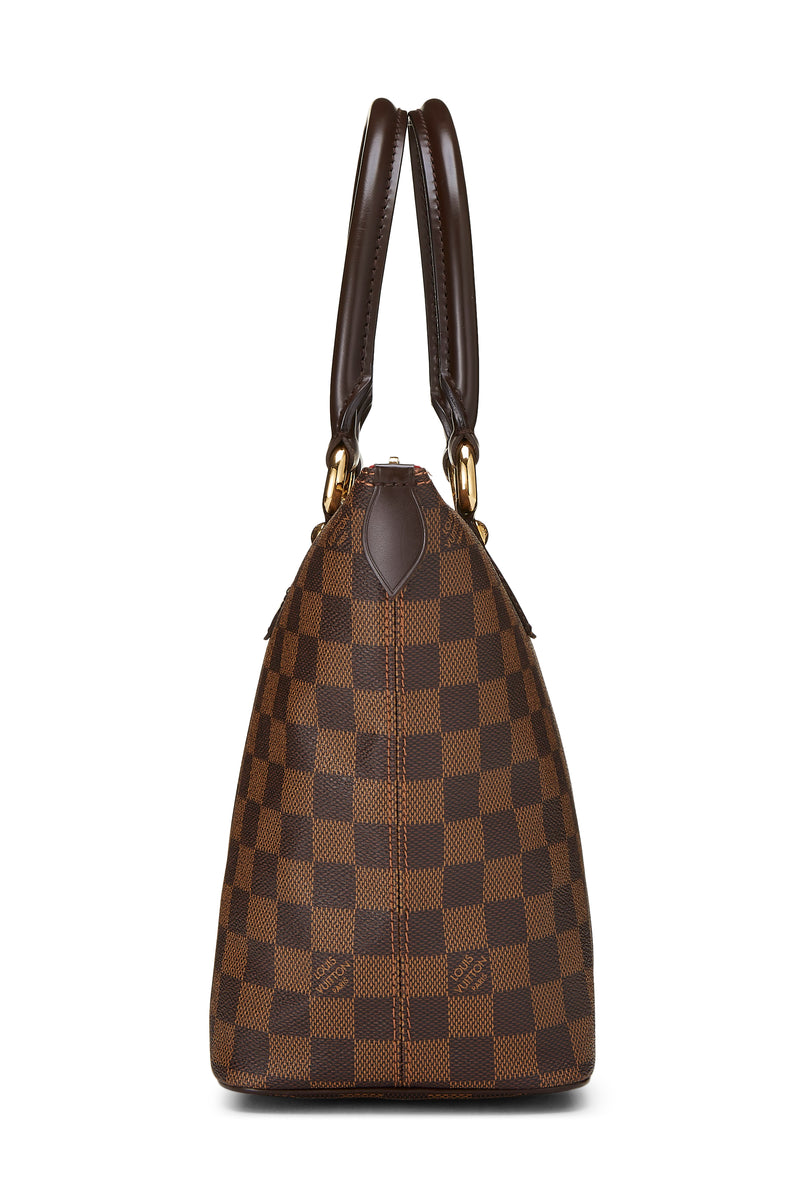 Louis Vuitton Damier Ebene Saleya PM Tote Handbag