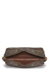 Louis Vuitton Monogram Nile Shoulder Handbag