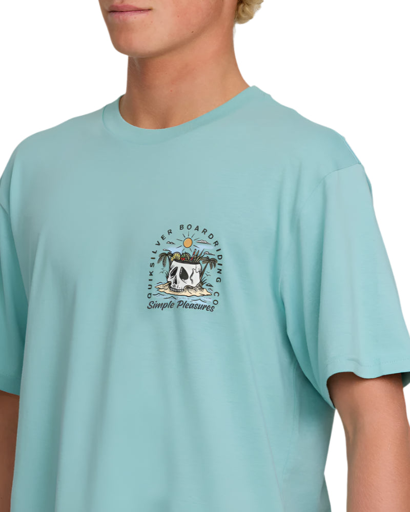 Quiksilver Mens Simple Pleasures Short Sleeve T-Shirt